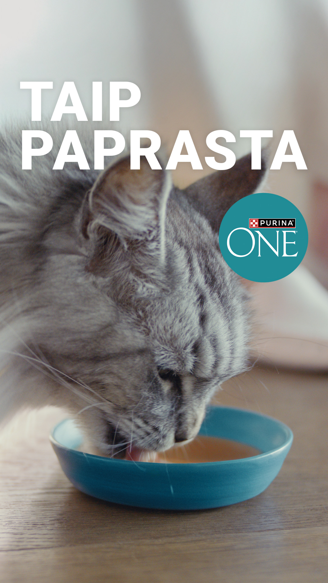 Purina Lietuva Facebook ad: Purina ONE Hydralife