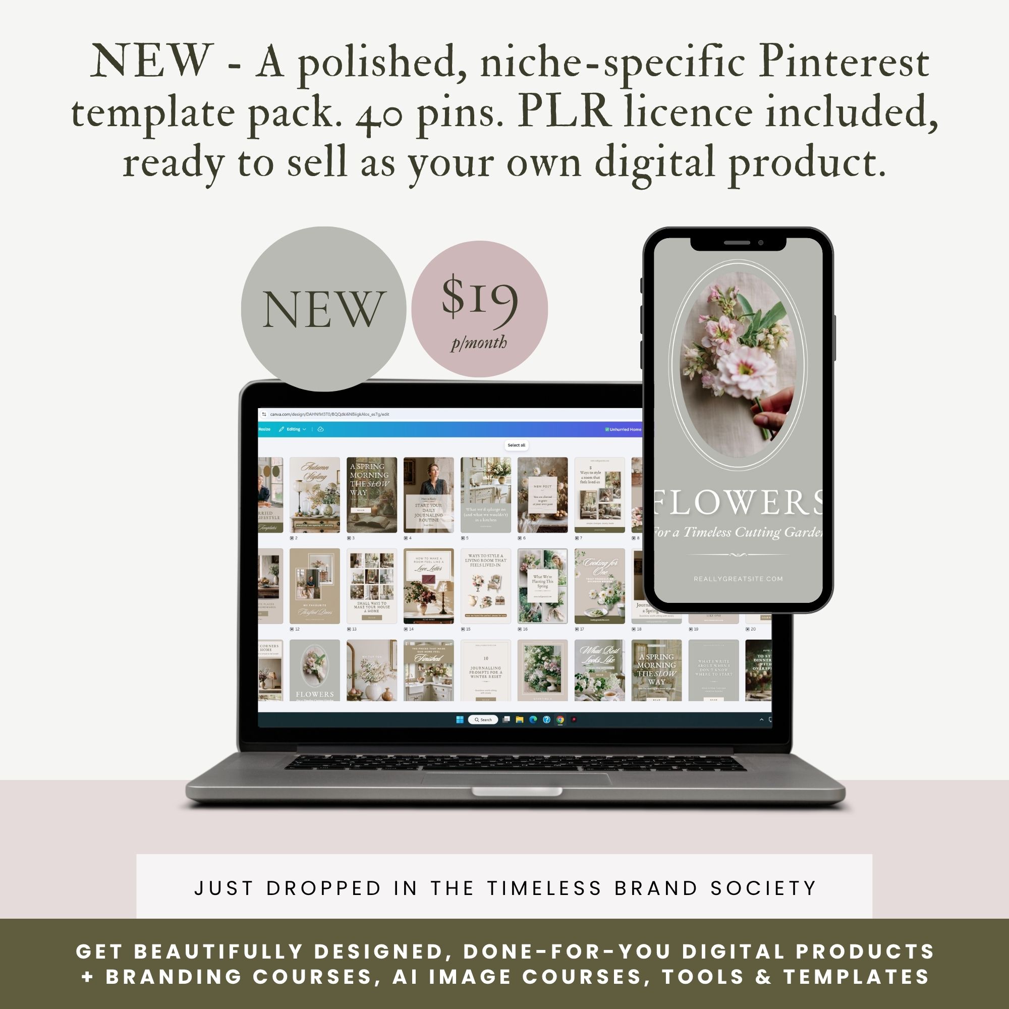 Rosey Willis Facebook ad: Premium PLR Templates