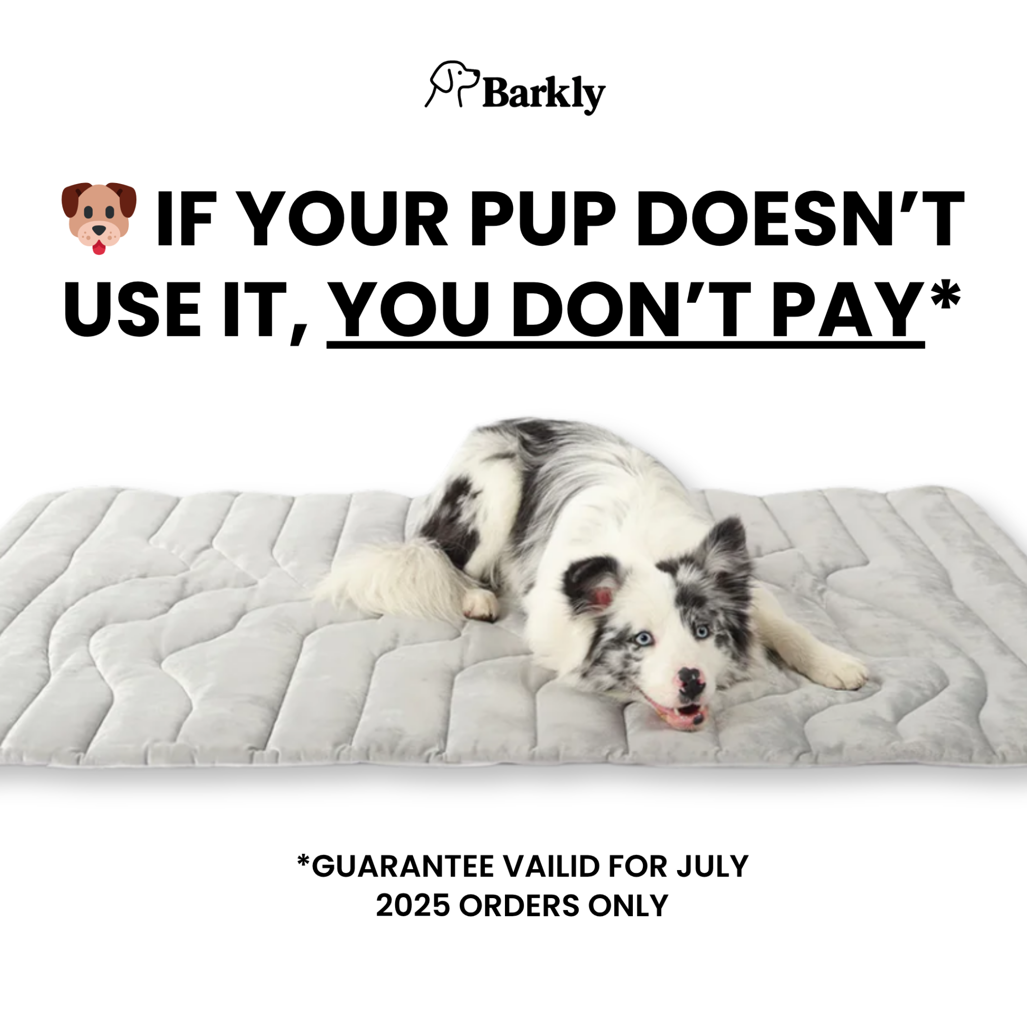 Barkly Facebook ad