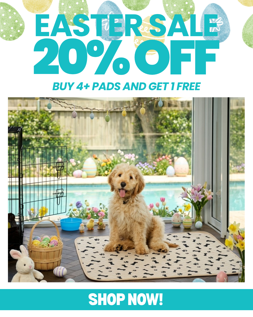 Potty Buddy Facebook ad
