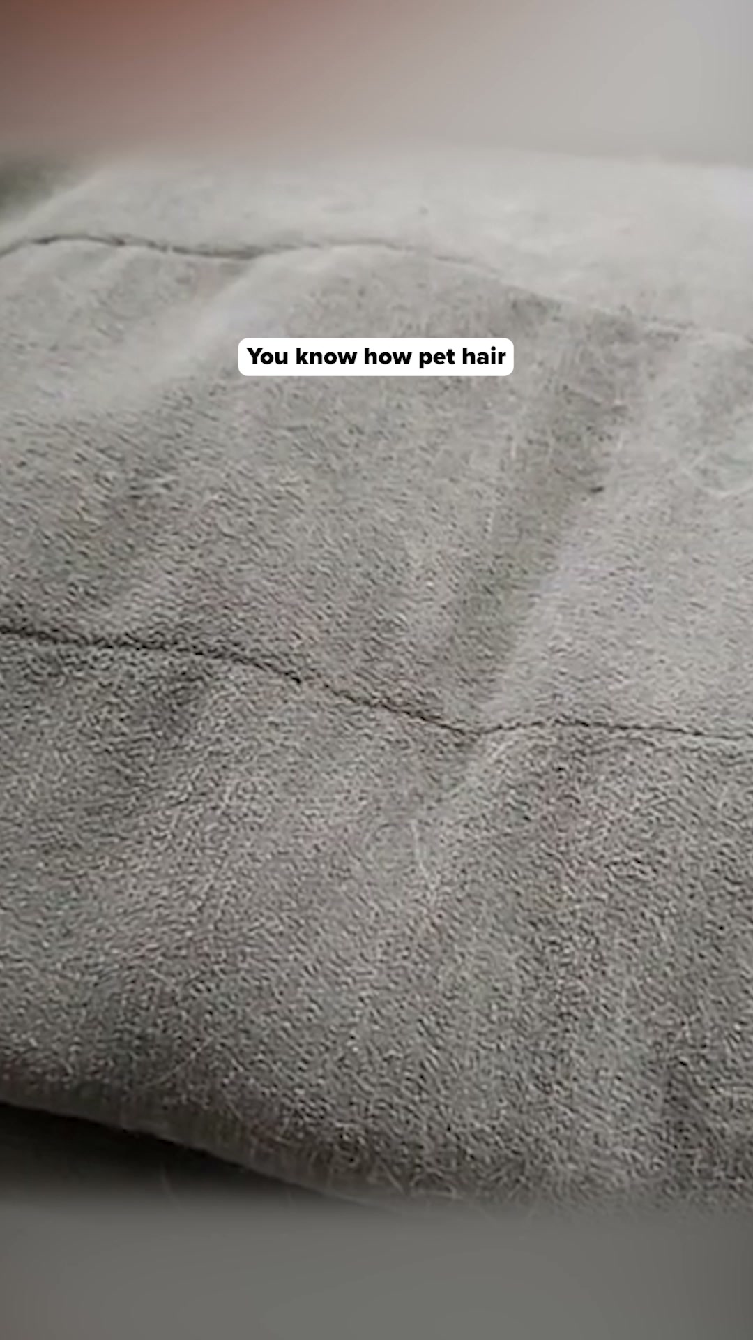 Uproot Clean Facebook ad: That musty smell in your house isn't your…