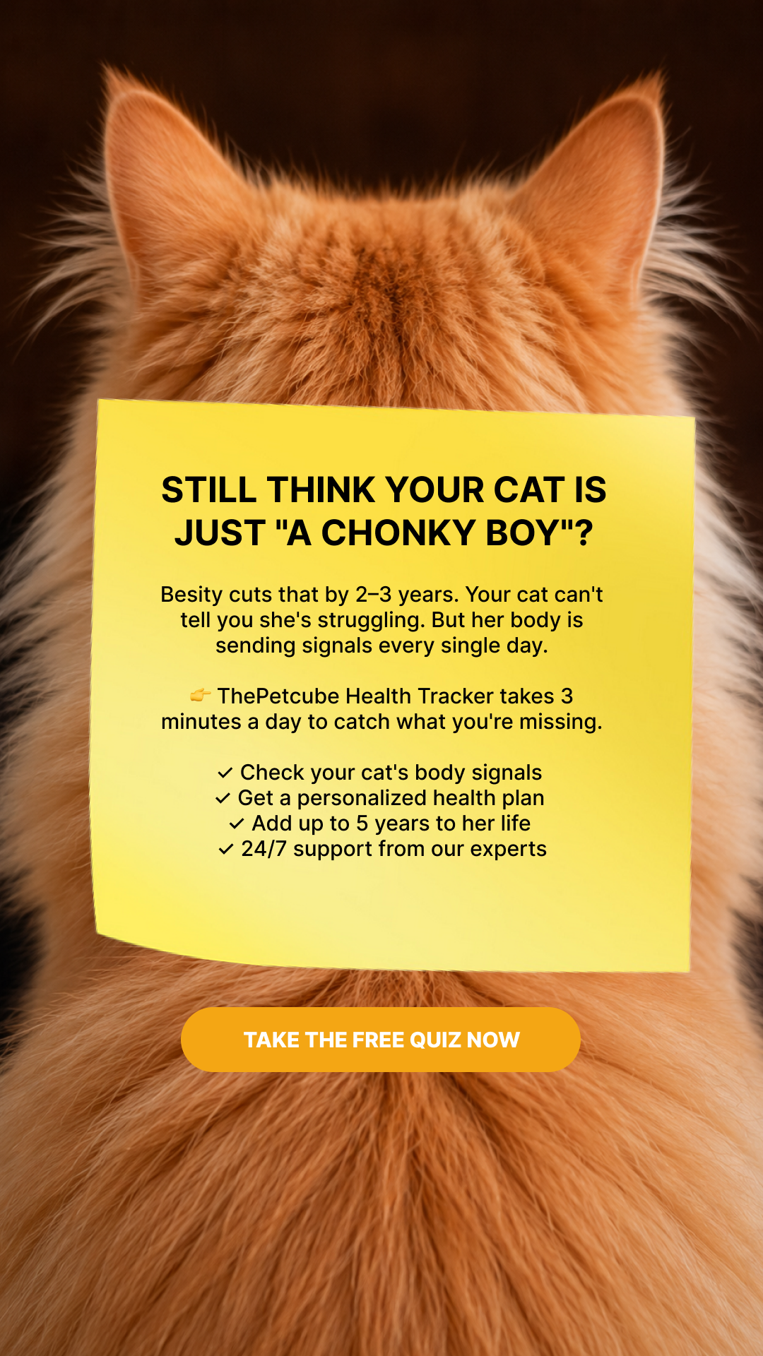 Petcube Facebook ad