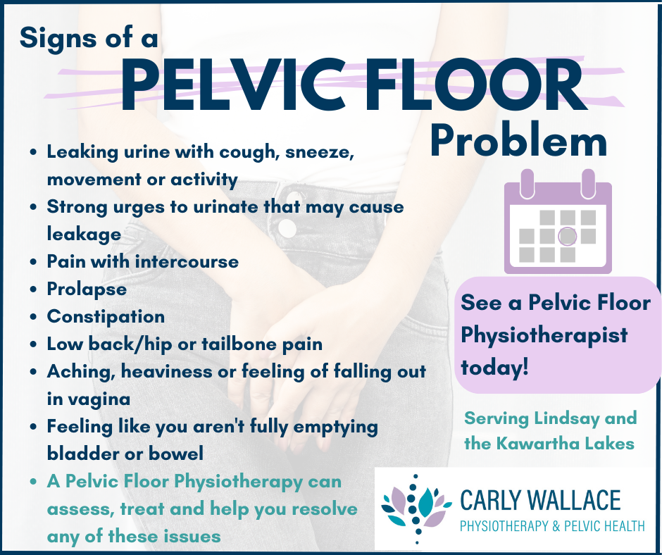 Carly Wallace Physiotherapy & Pelvic Health Facebook ad: Lindsay & Kawartha Lakes