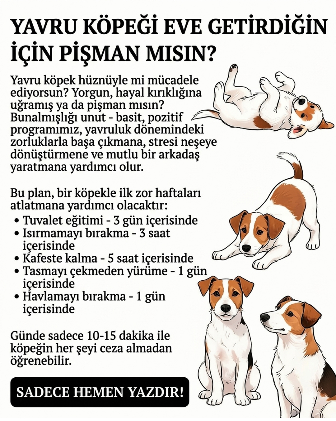 Jake Collins Facebook ad: Yavru köpeğini #1 uygulama ile eğit