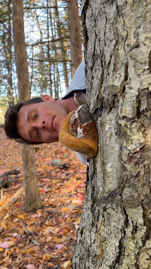 Ananda Elixirs Facebook ad: This is what happens when a dad gets…
