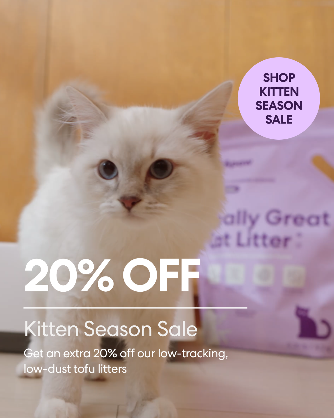 Tuft & Paw Facebook ad