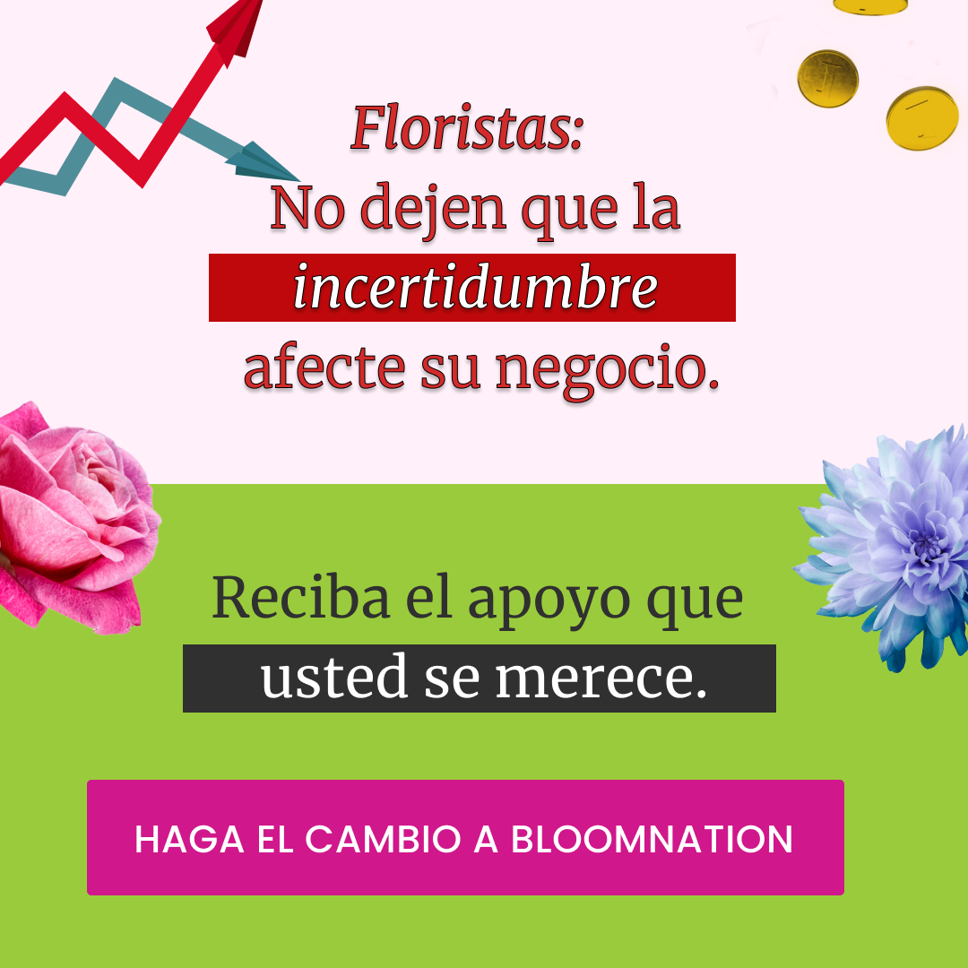 BloomNation Facebook ad