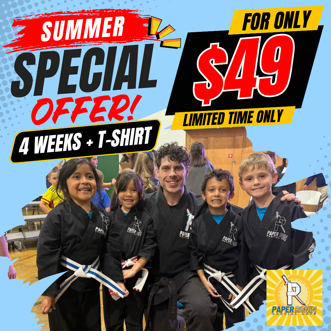Paper Ronin Martial Arts Facebook ad