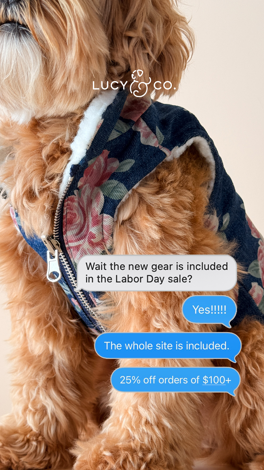 Lucy & Co. Facebook ad