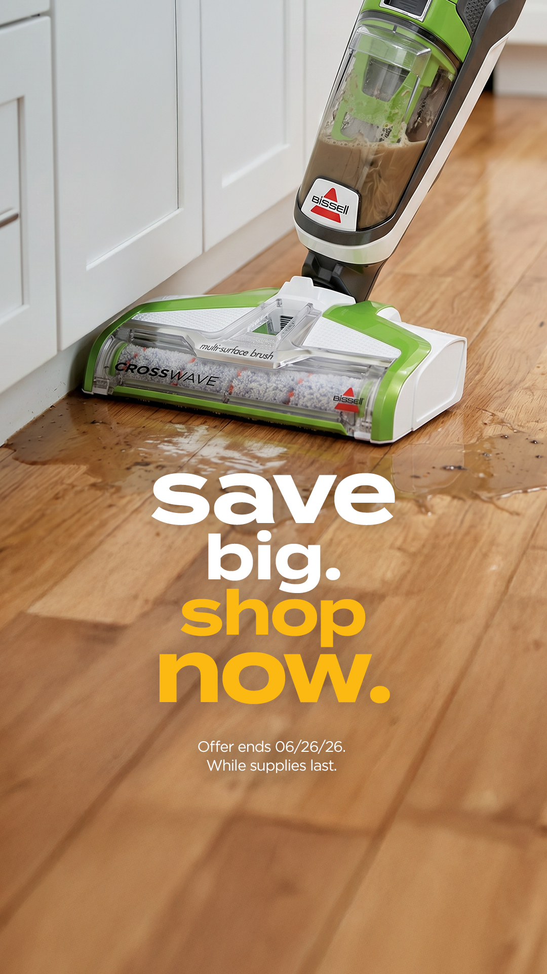 BISSELL Facebook ad