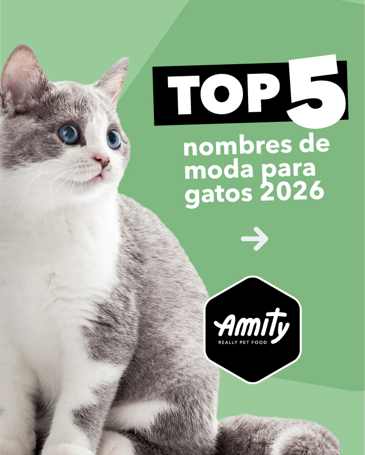 Amity Pet Food CR Facebook ad: ¿Buscando nombres para tus gatitos?