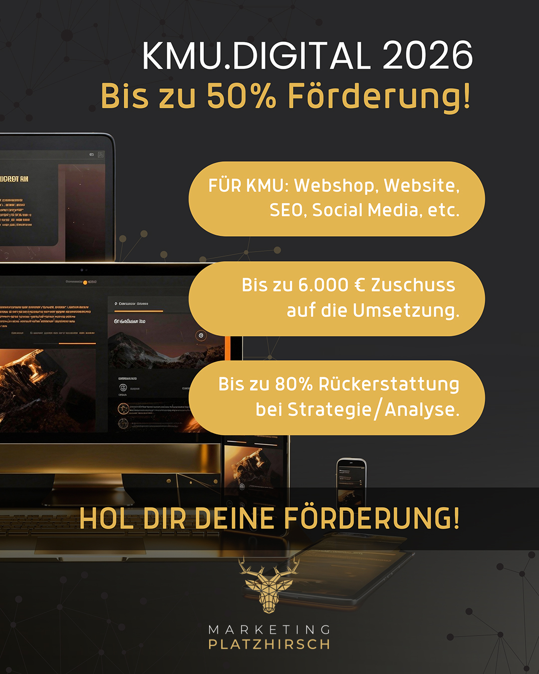 Marketing Platzhirsch W.M. GmbH Facebook ad: Bis zu 50 % Förderung für Website & Shop 2026 - Förder-Guide