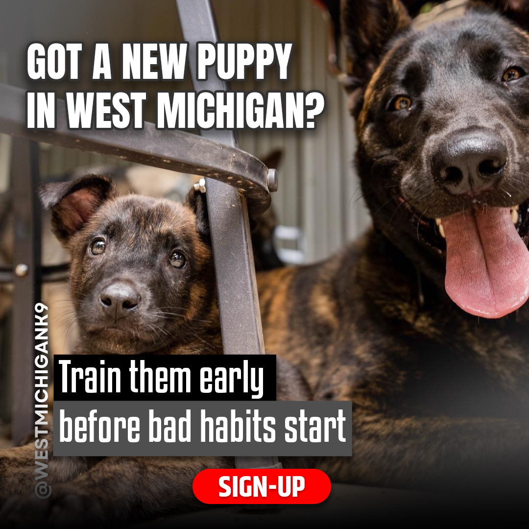 West Michigan K9 Facebook ad