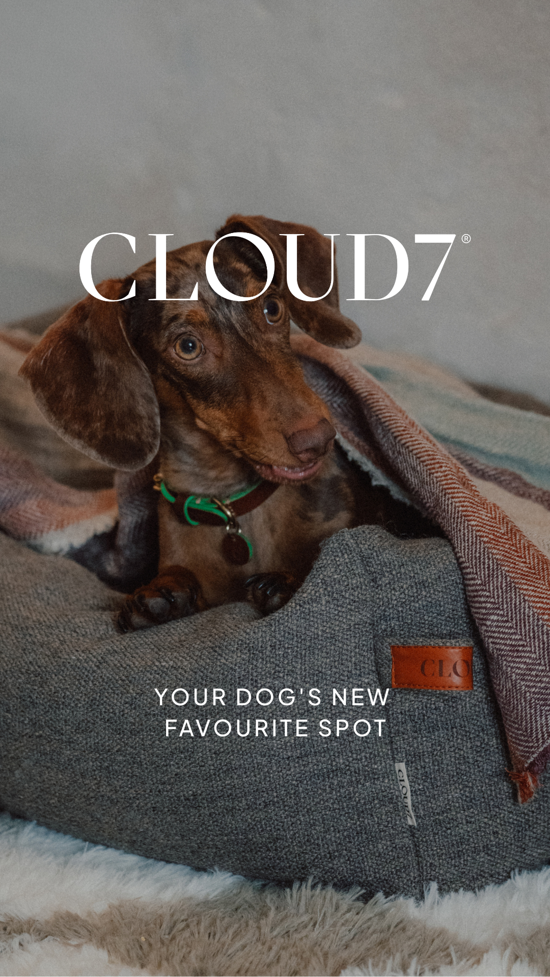 Cloud7 Facebook ad: Discover here.