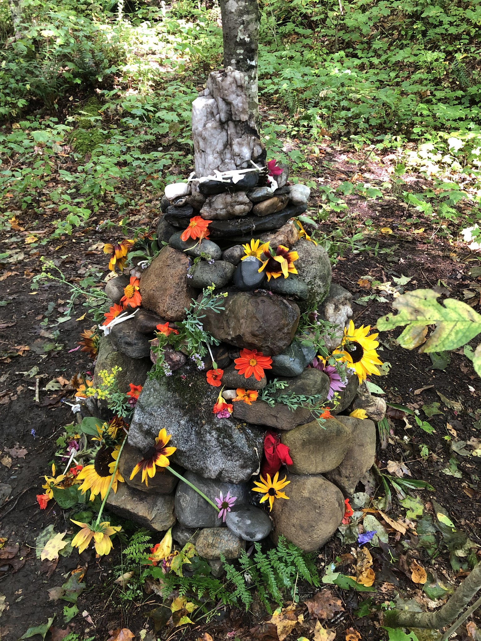 Indigenous Roots - Sierra McFeeters Facebook ad: Shamanic Apprenticeship Yr. 1