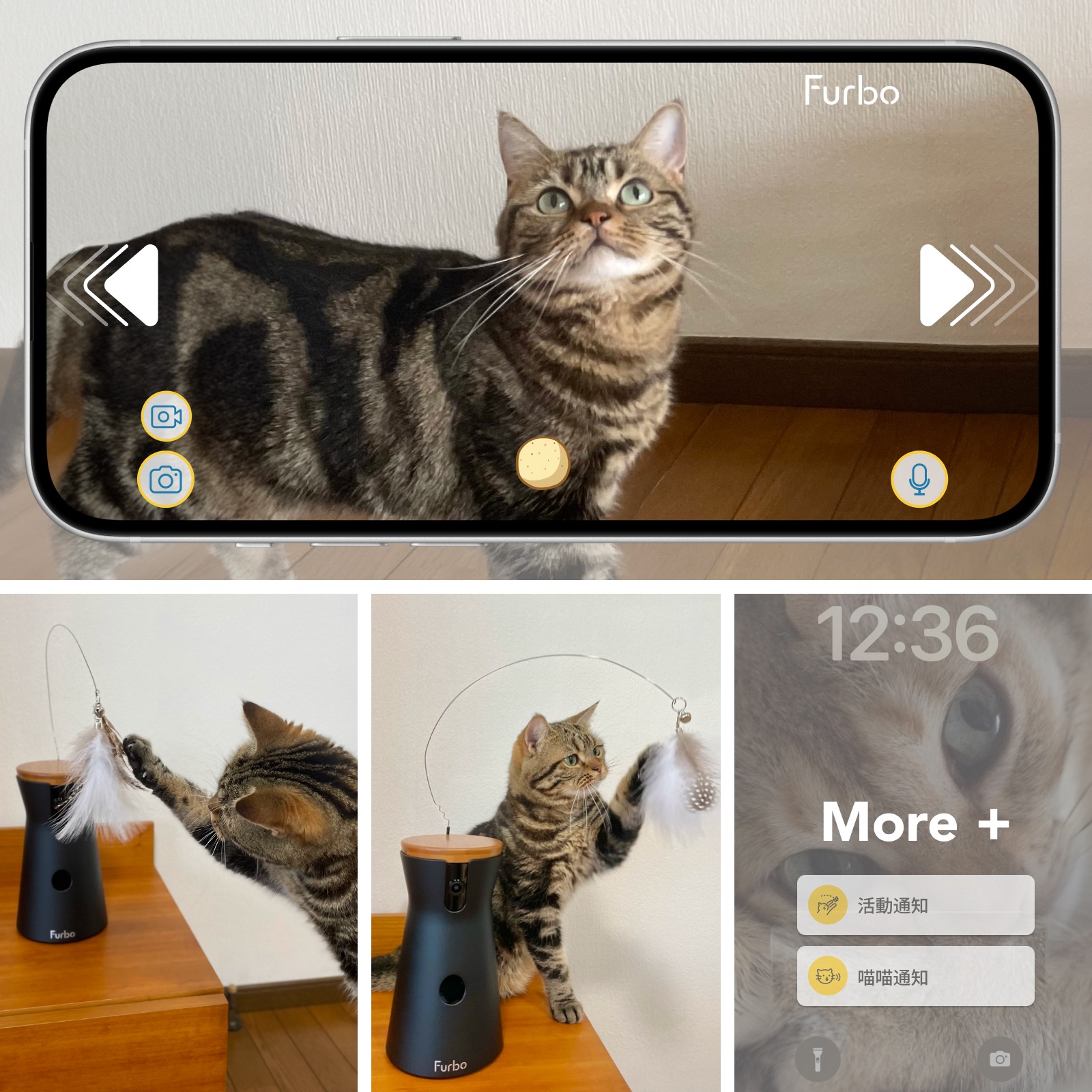 Furbo 寵物攝影機 Facebook ad