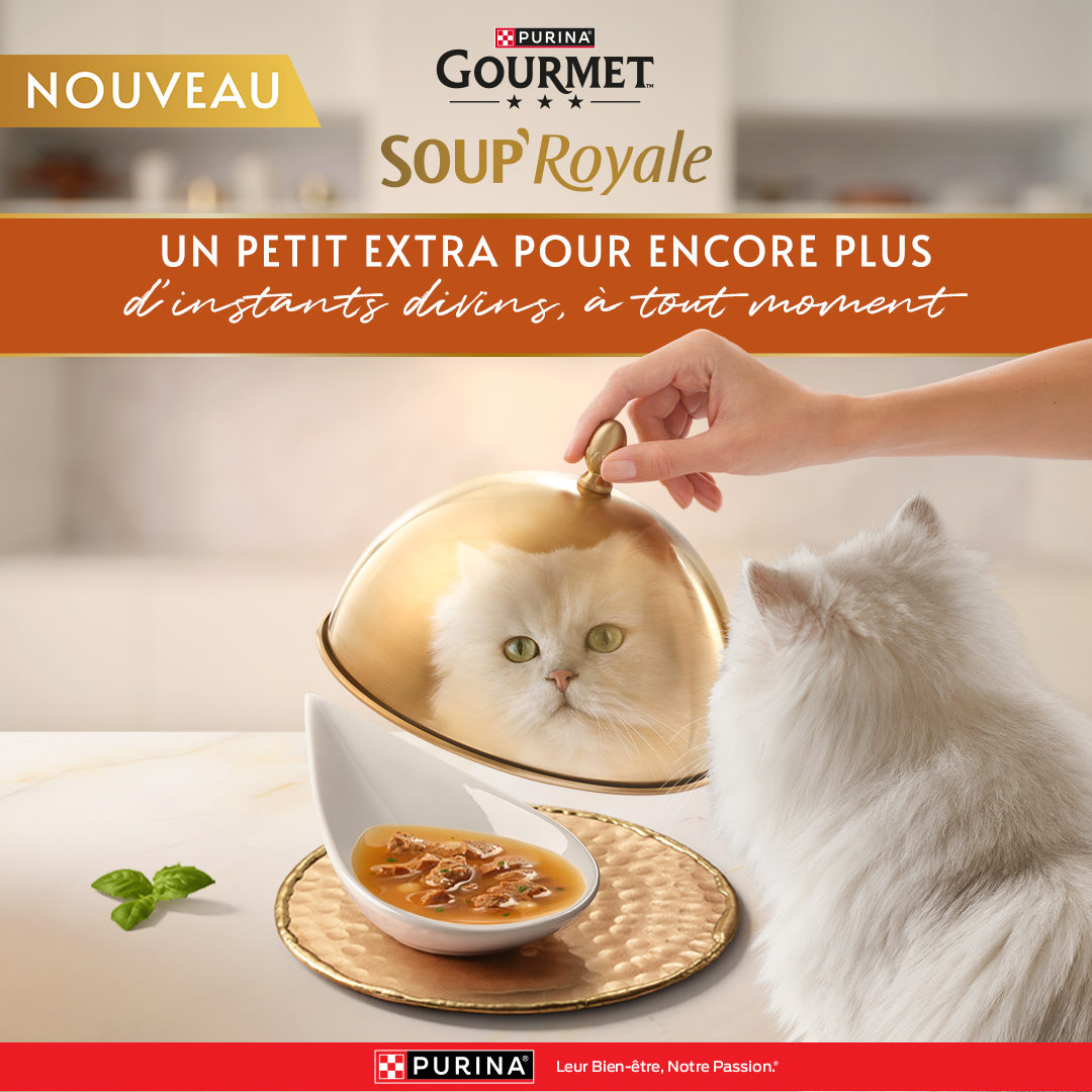 Purina France Facebook ad