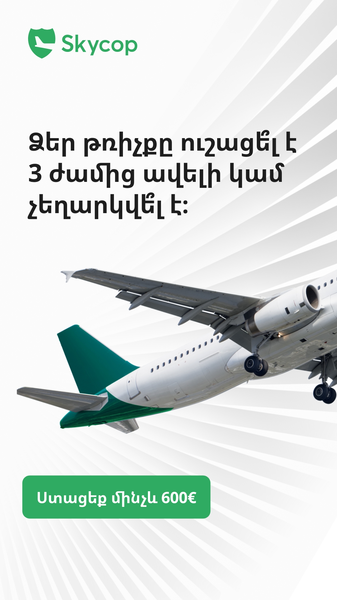 Skycop Facebook ad