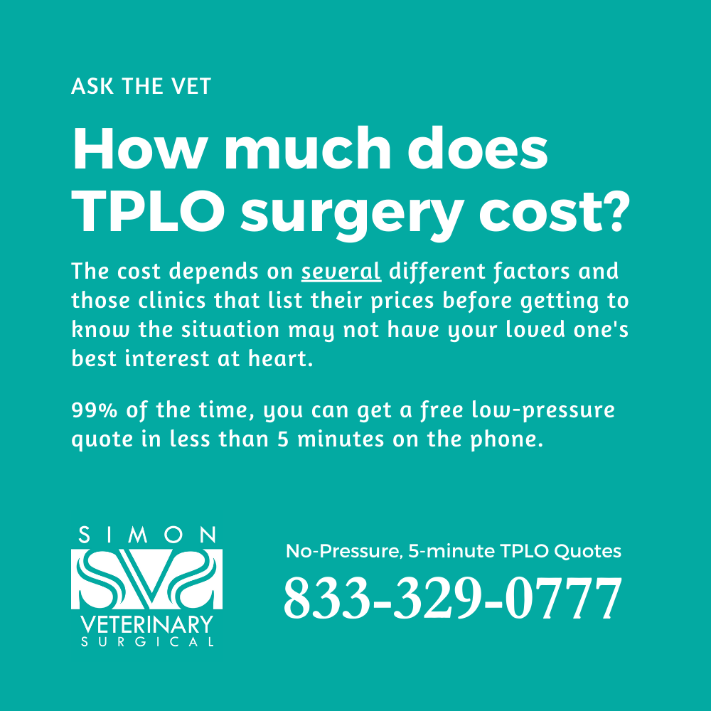 Simon Veterinary Surgical Facebook ad