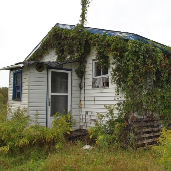 Shop Comfort Facebook ad: Abandoned Houses (Insights)