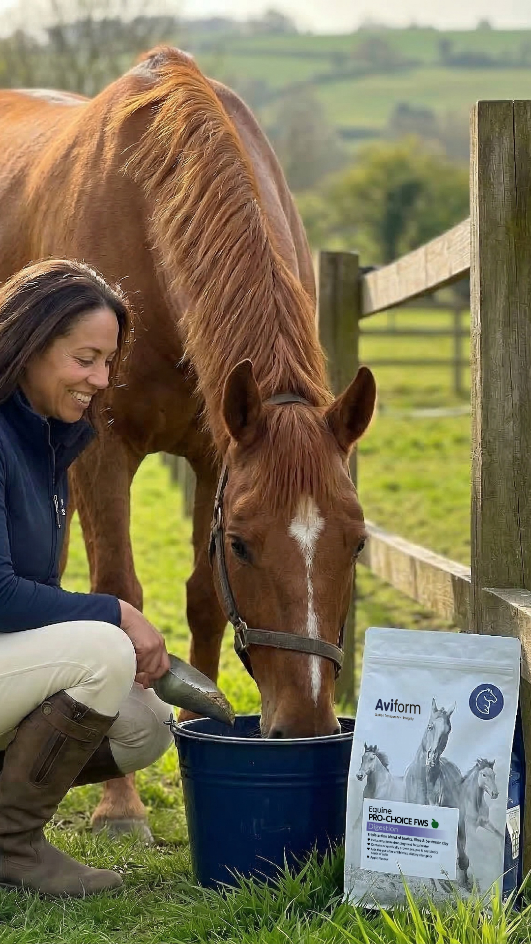 Aviform Nutrition UK - Horse & Dog Facebook ad