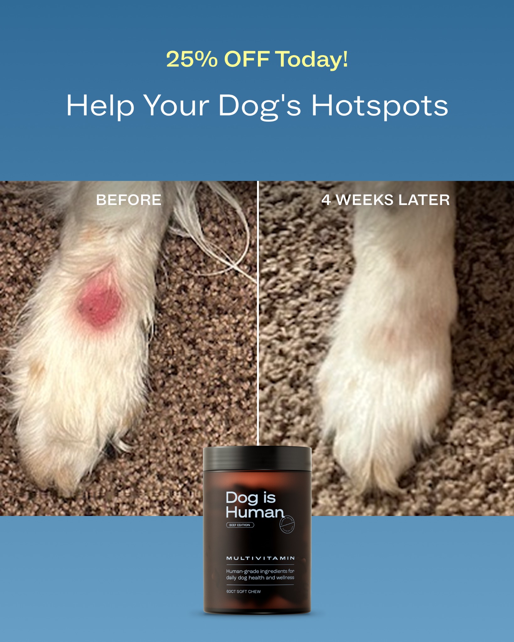 Dog is Human Facebook ad