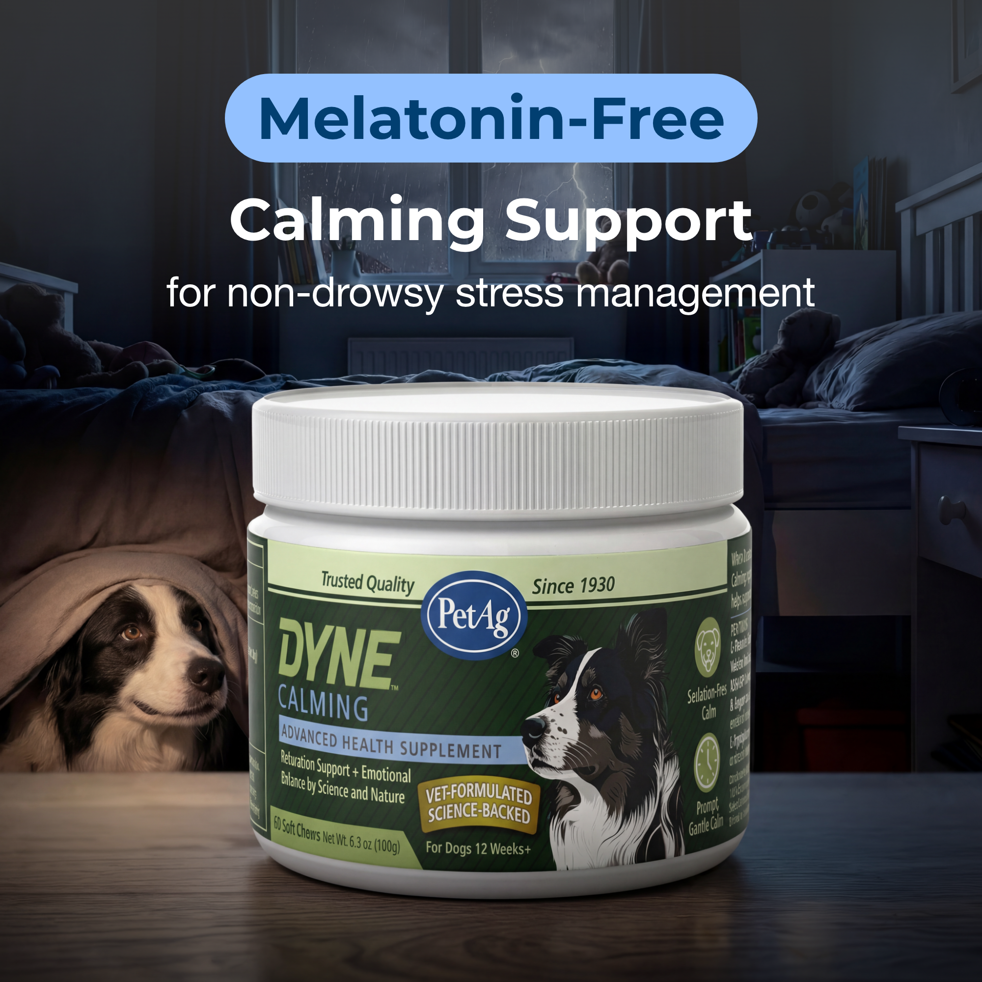 Pet-Ag Pet Products Facebook ad: Calm Support Without Drowsiness