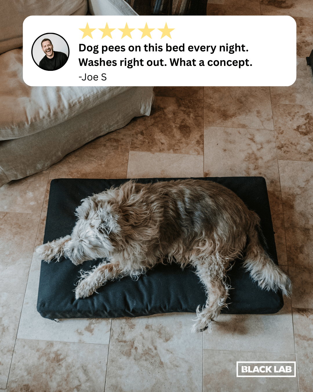 Black Lab Brands Facebook ad