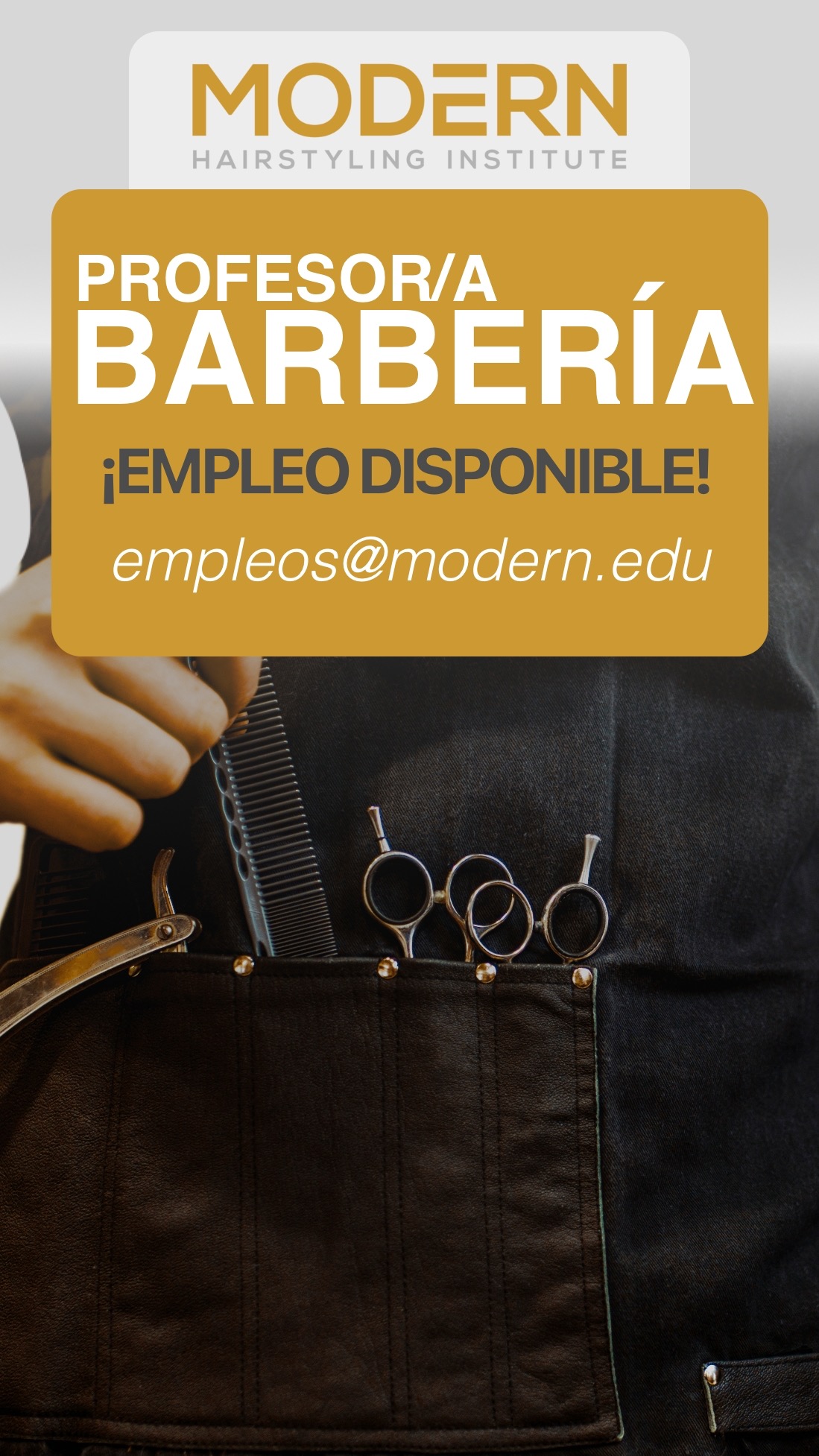 Modern Hairstyling Institute Facebook ad