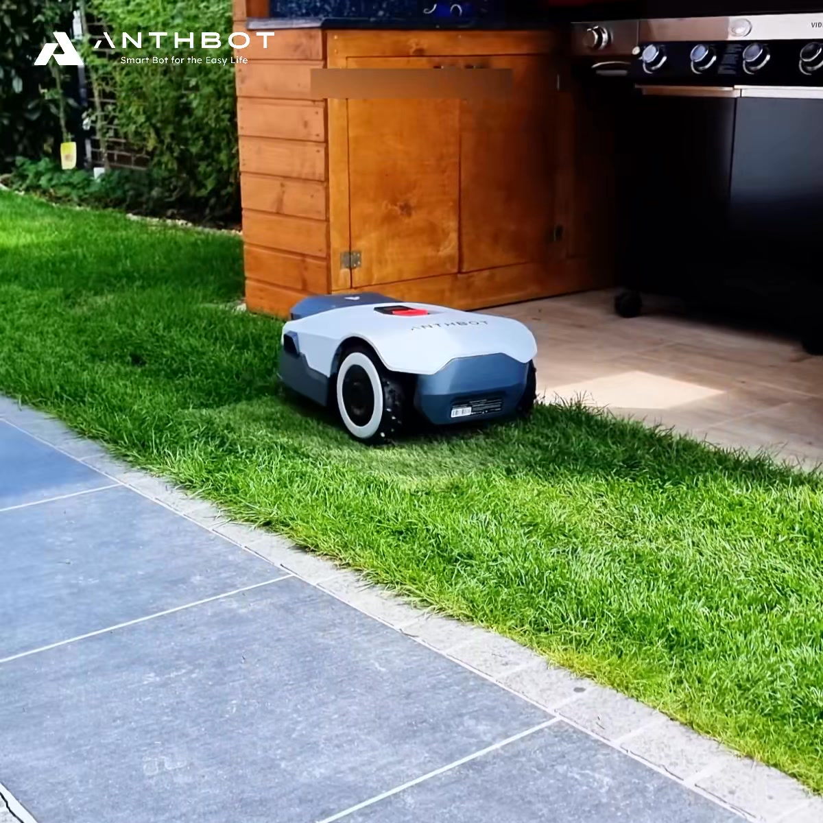 ANTHBOT Facebook ad from Aug 18, 2026