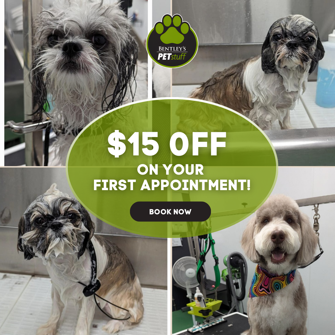Bentley's Pet Stuff & Grooming Schaumburg Facebook ad