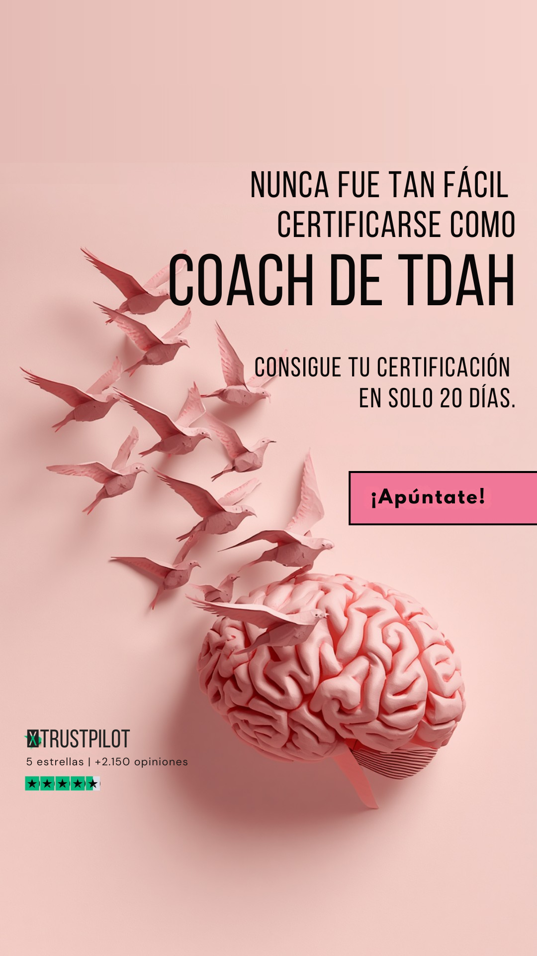 Efficient Coach Facebook ad
