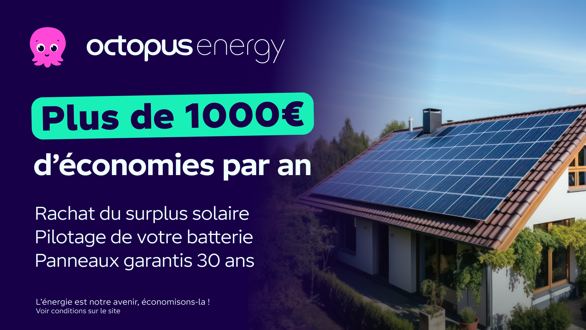 Octopus Energy Facebook ad