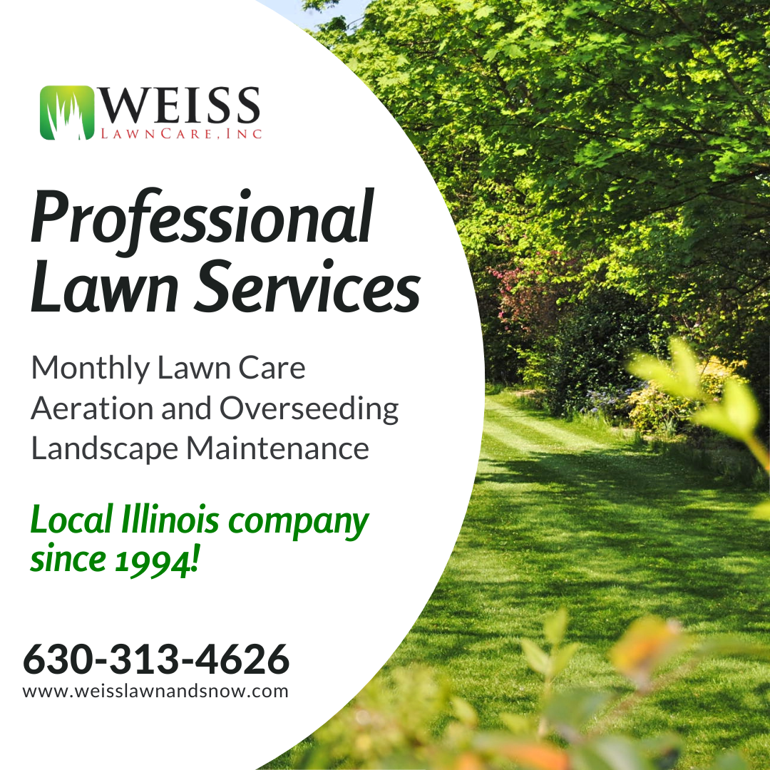 Weiss Lawn Care Inc. and Weiss Snow Removal, Inc. Facebook ad