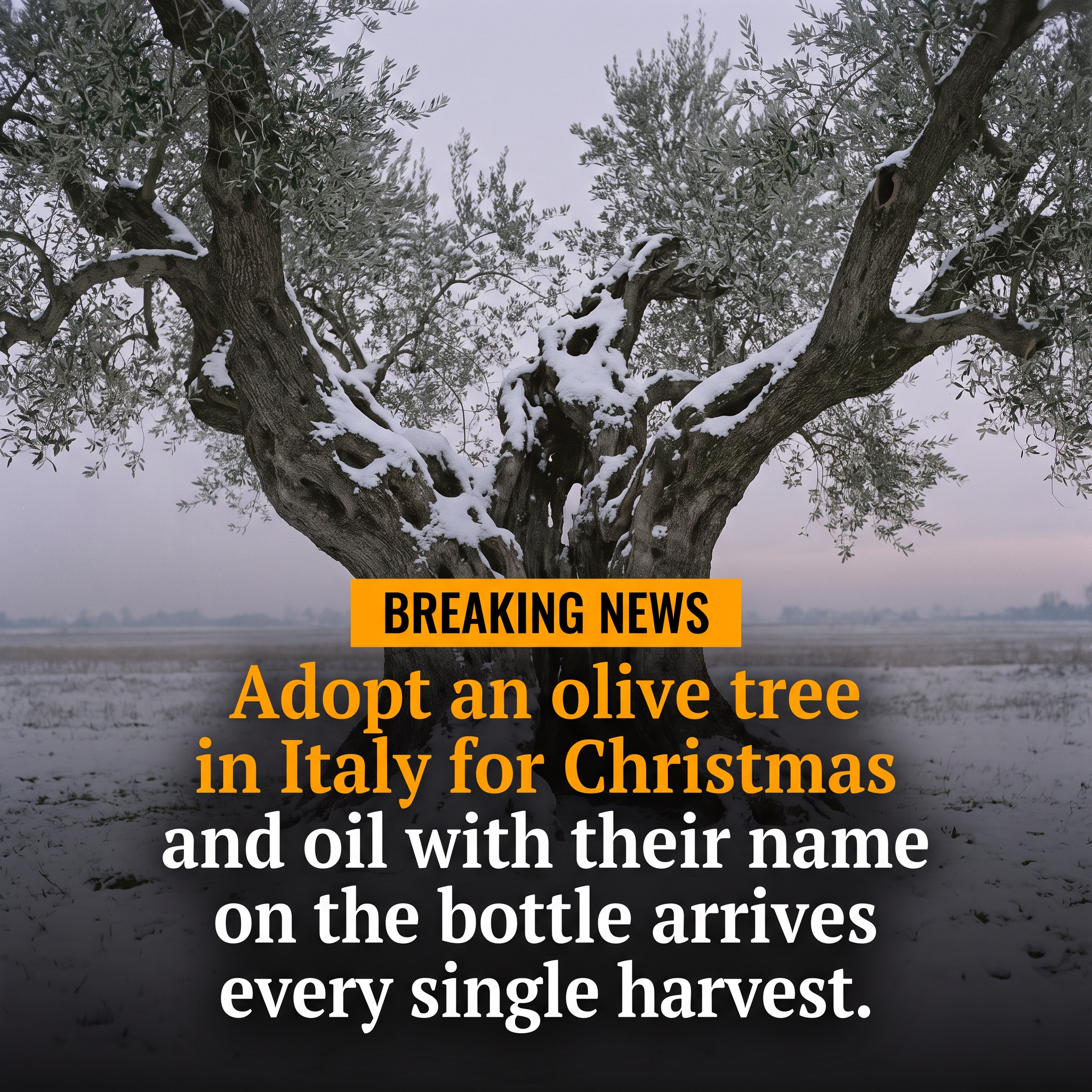 The Pollinator Press Facebook ad: Adopt a Tree. Taste La Dolce Vita.