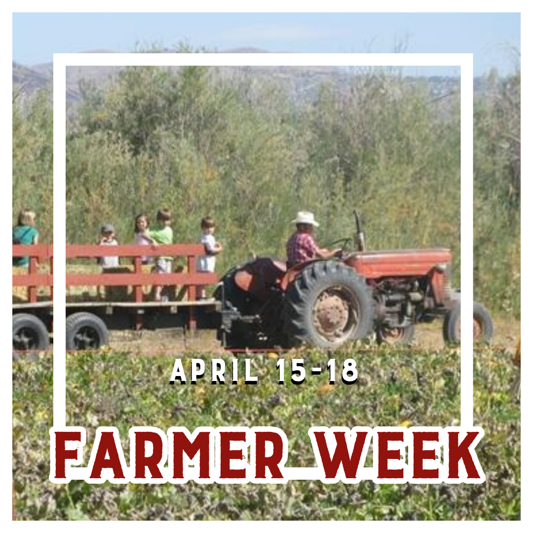 Andelin Family Farm Facebook ad: Spring fun is blooming at Andelin Family Farm!
