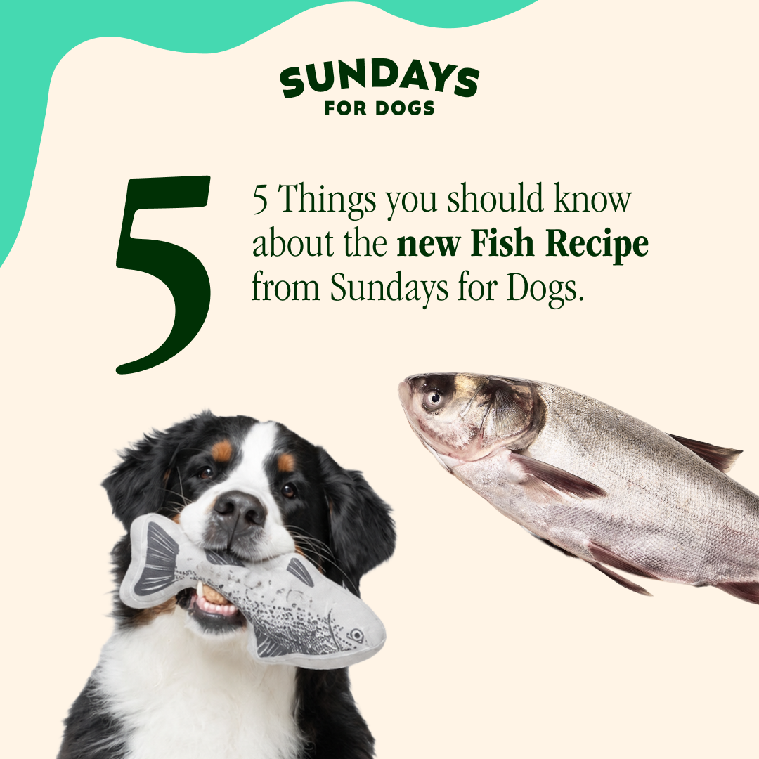Sundays Facebook ad