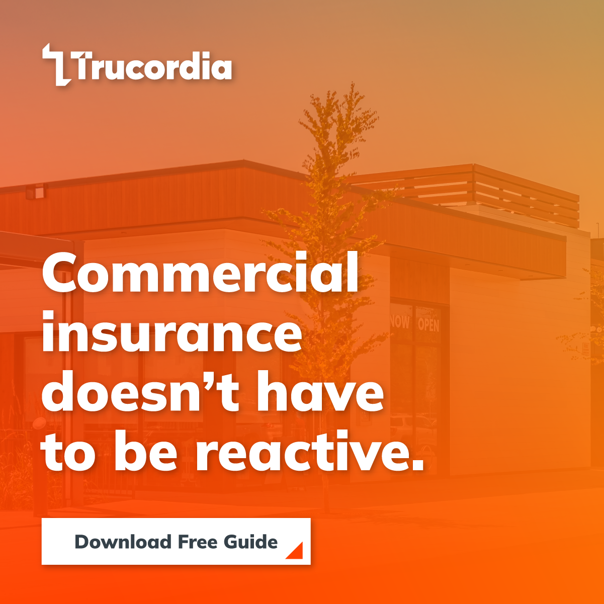 Trucordia Facebook ad