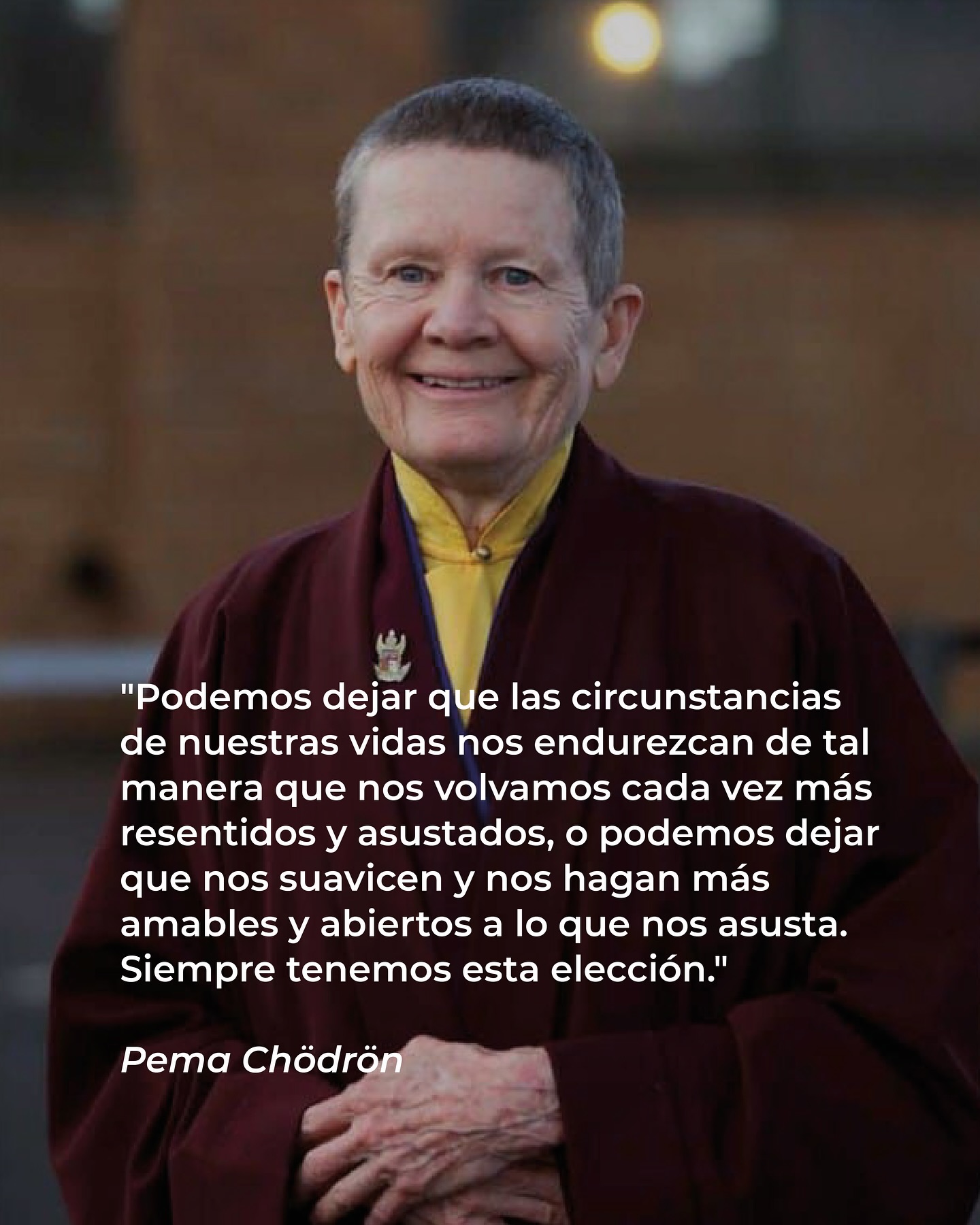 Instituto Mindfulness Facebook ad: Pema Chödrön
