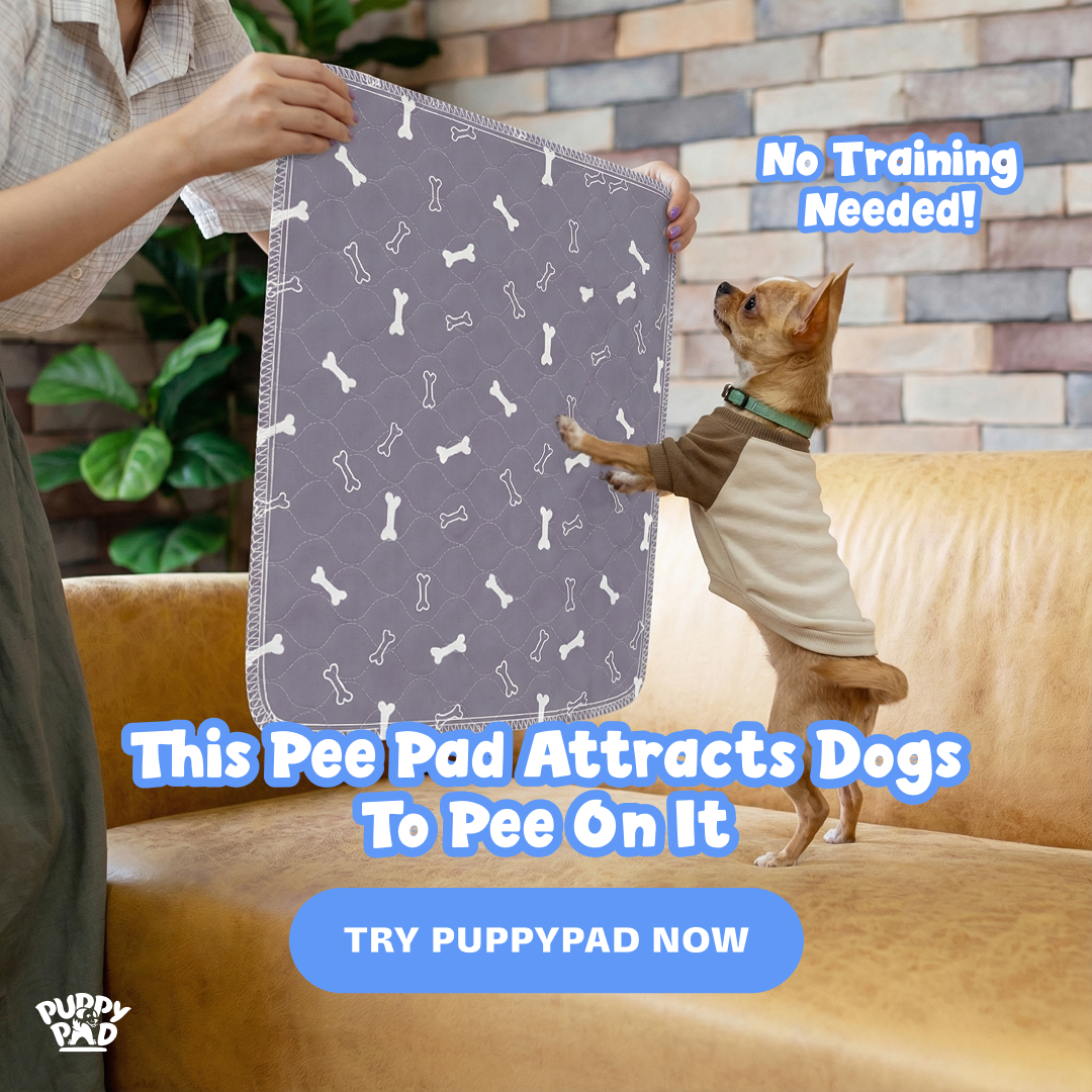 PuppyPad Facebook ad