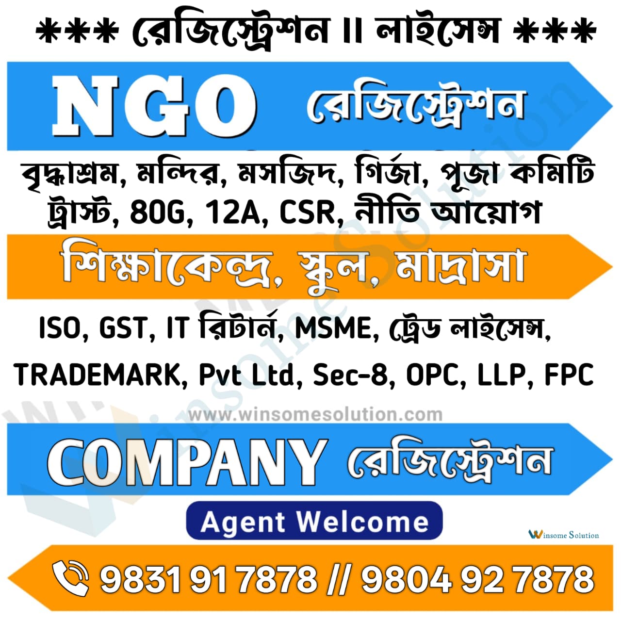 Winsome Solution Facebook ad