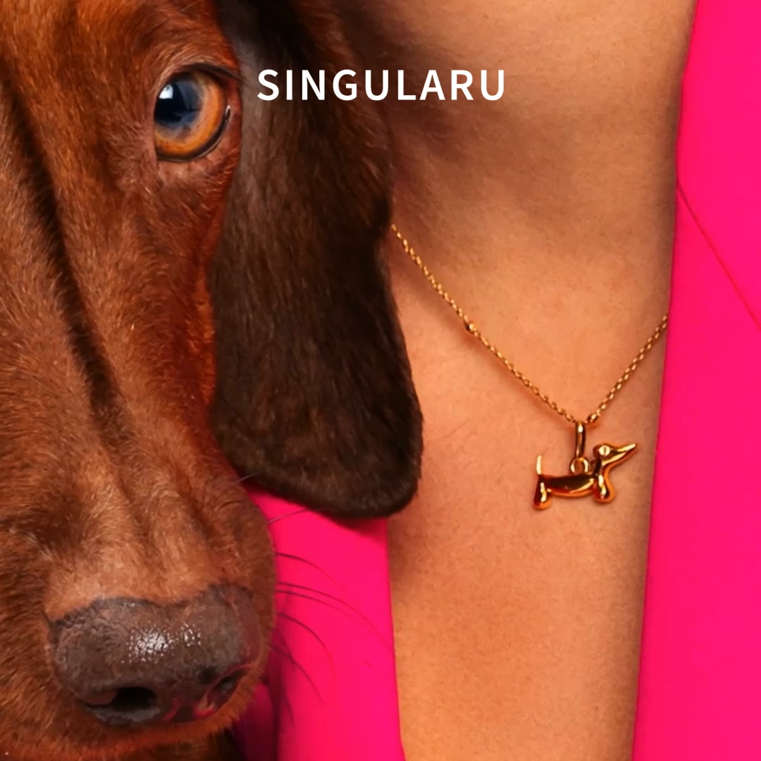 Singularu Jewels Facebook ad: Ninguna moderna sin su Teckel