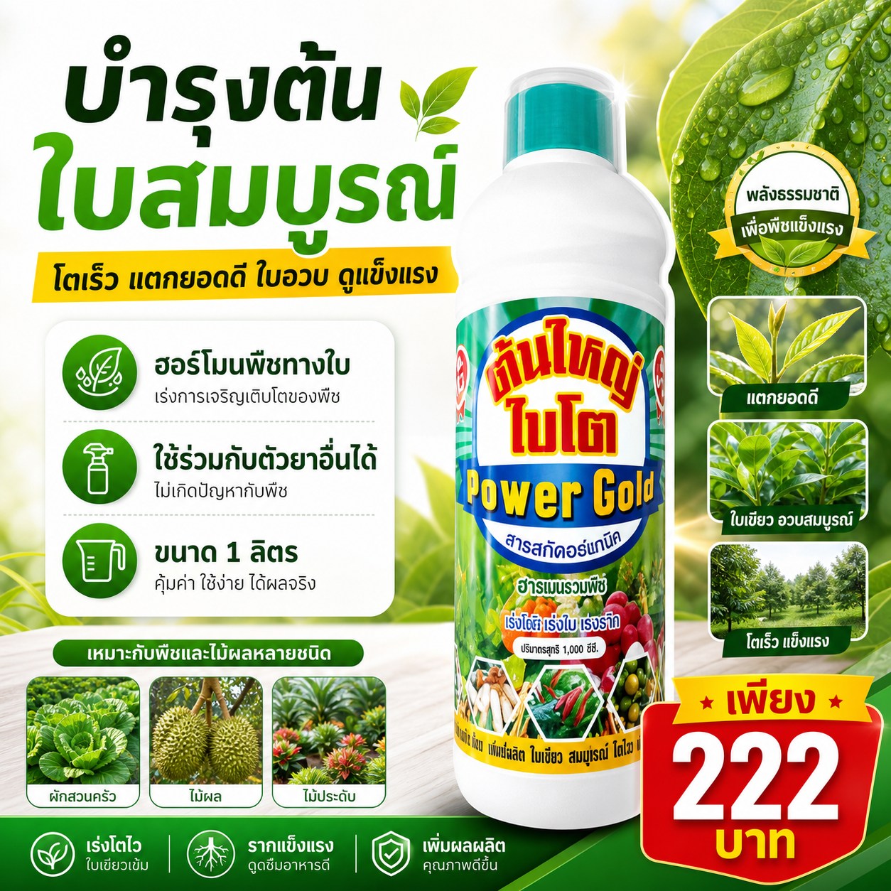กัสซี่ขอเล่า Facebook ad: พิกัด https://s.shopee.co.th/6fdrq1UOPs