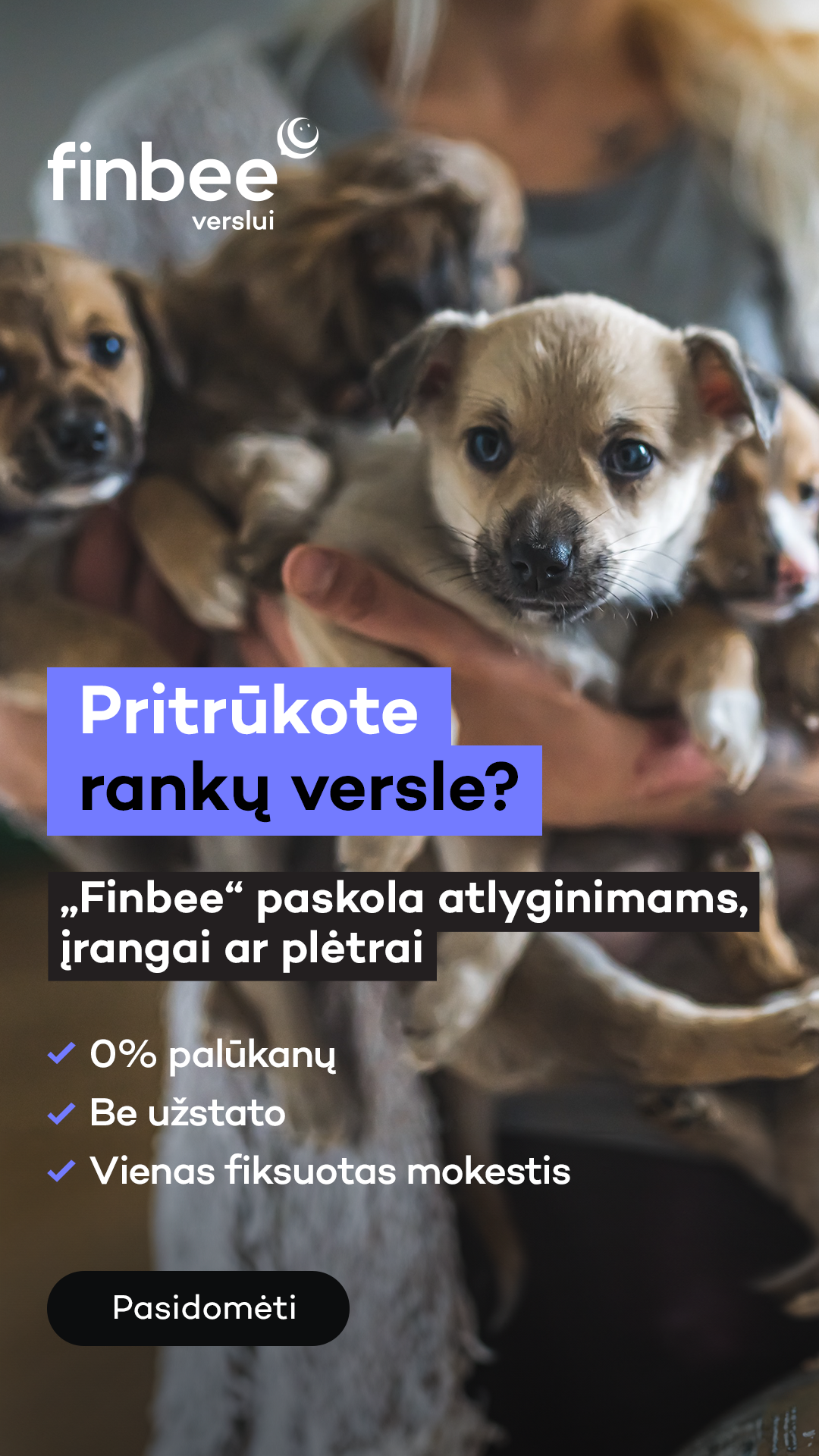 Finbee Verslui Facebook ad
