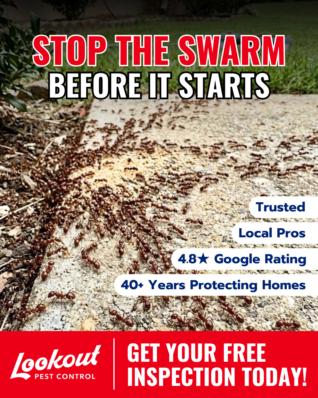 Lookout Pest Birmingham Facebook ad: Keep Ants Out This Spring!