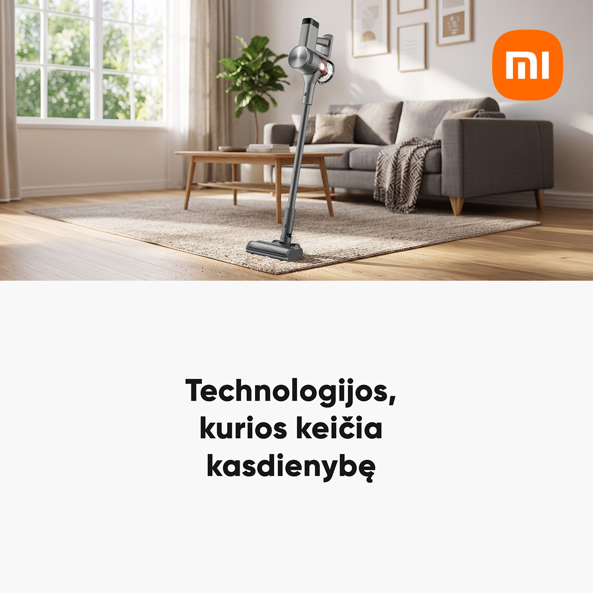 Pigu.lt Facebook ad