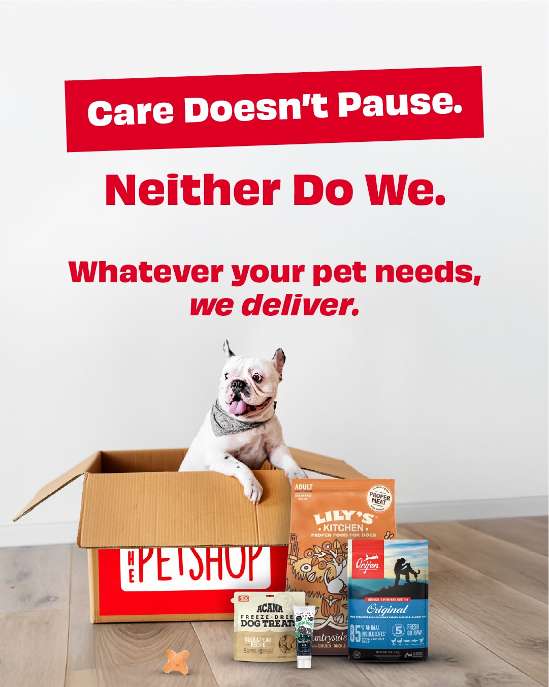 The Petshop Facebook ad: Everything your pet needs, all in one place.