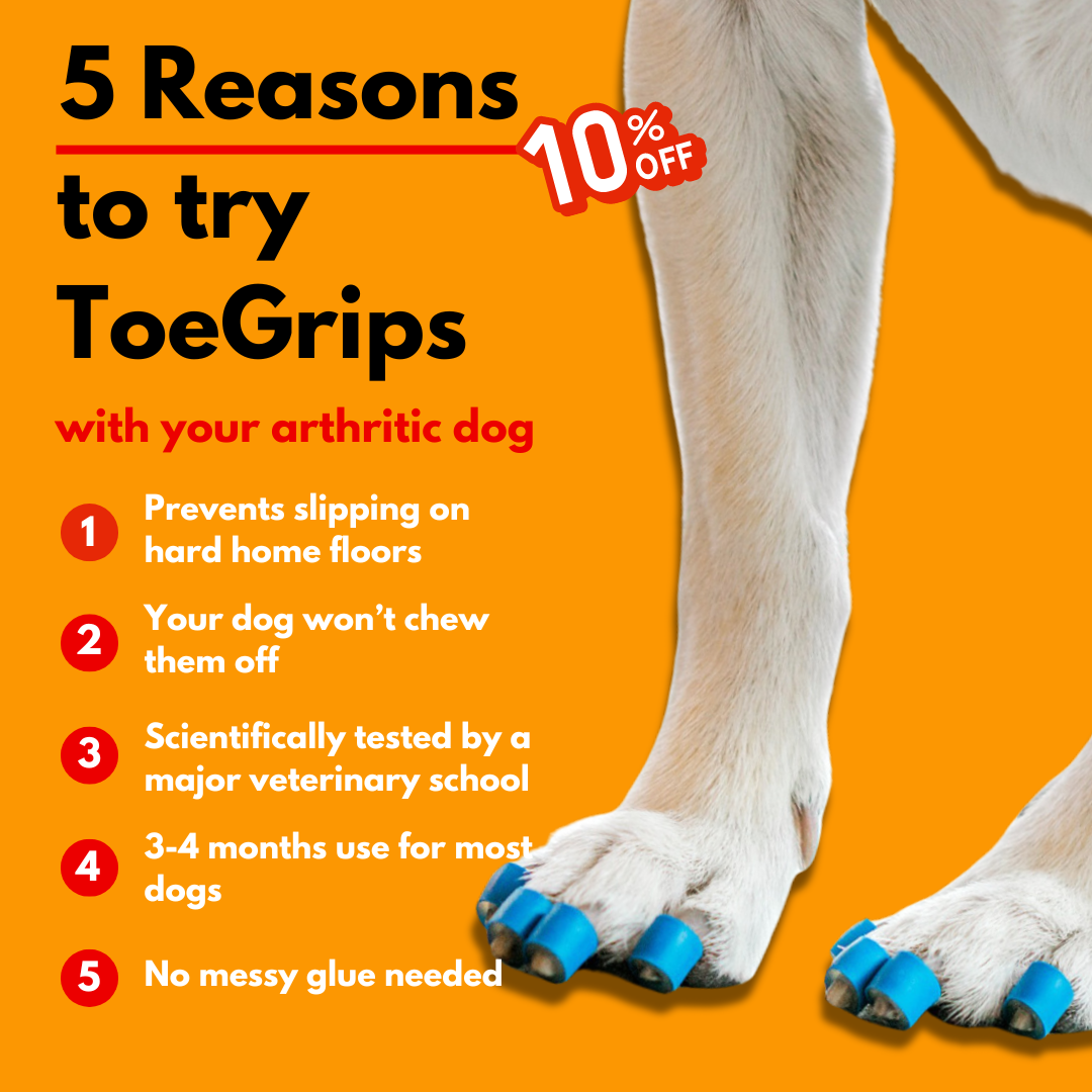 Dr. Buzby's ToeGrips for Dogs Facebook ad
