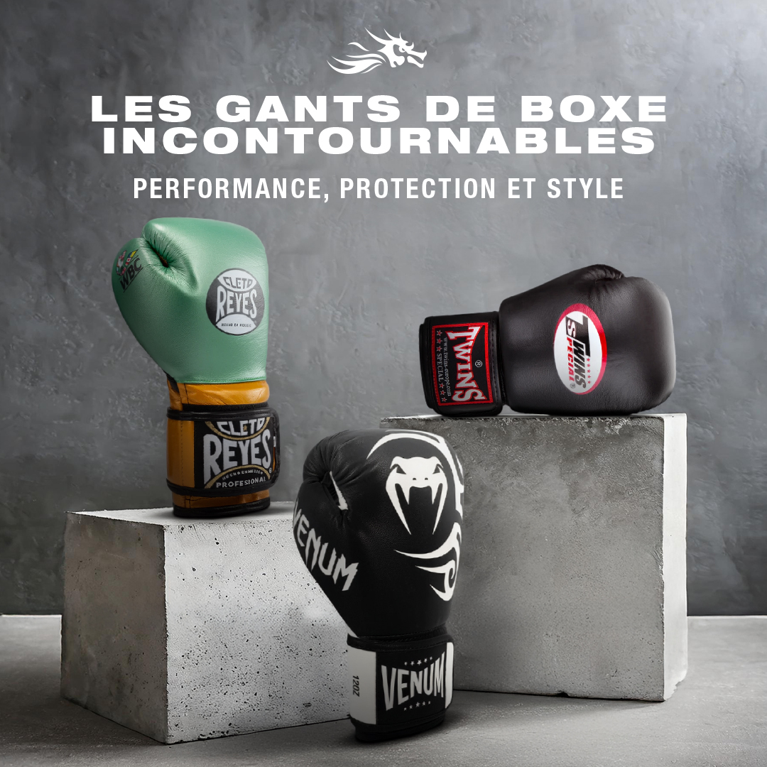 Dragon Bleu Facebook ad: Boxe anglaise, française ou Muay Thai? Trouvez vos gants…