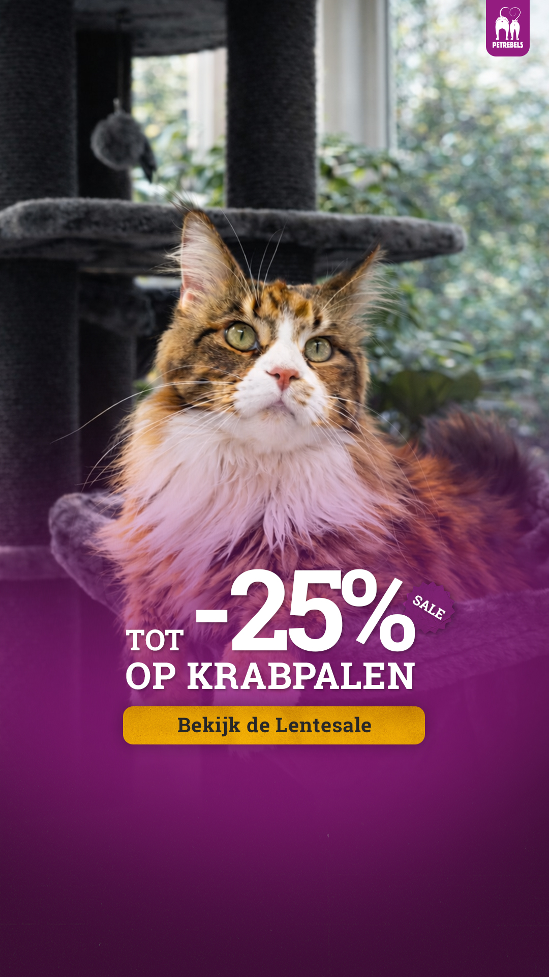 petrebels.com Facebook ad